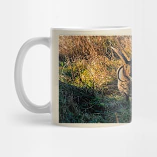 Rare breed sheep in pasture Mug